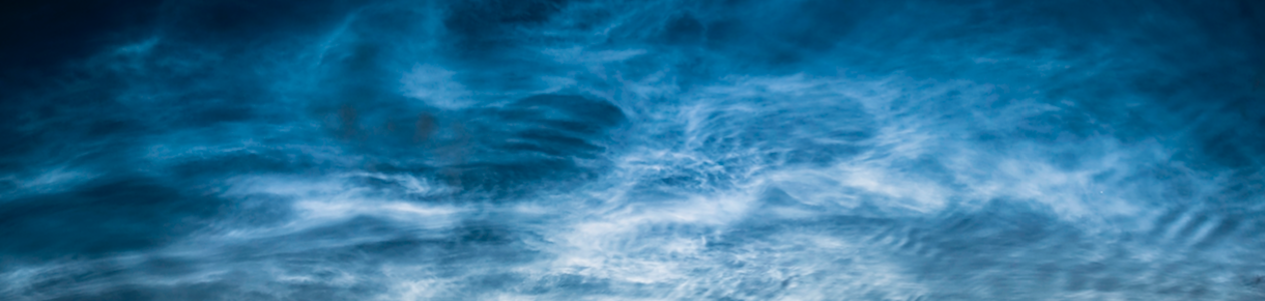 Technology Consulting